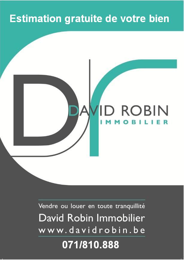 David Robin Immobilier